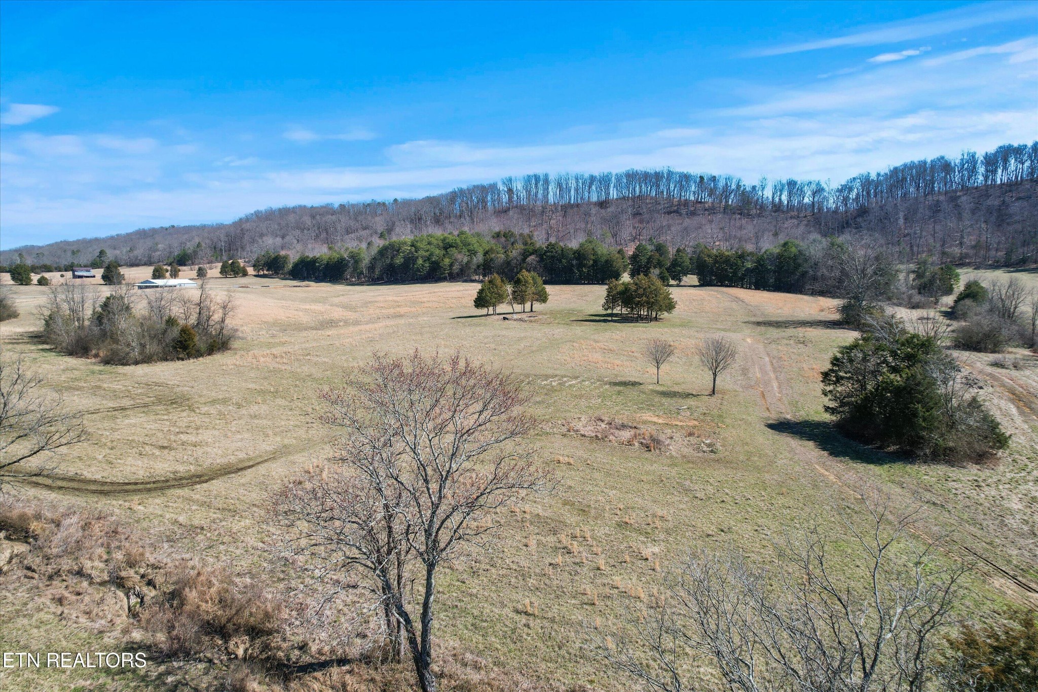 0 Paint Rock Valley Road Philadelphia, TN 37846 - Photo 10 of 40