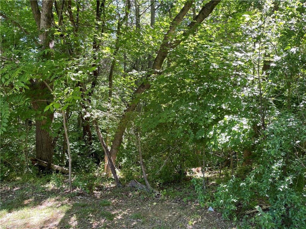 0 Thompson Road Graham, NC 27253 - Photo 4 of 10