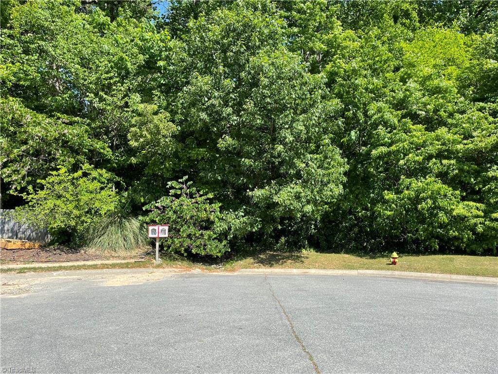 0 Thompson Road Graham, NC 27253 - Photo 7 of 10