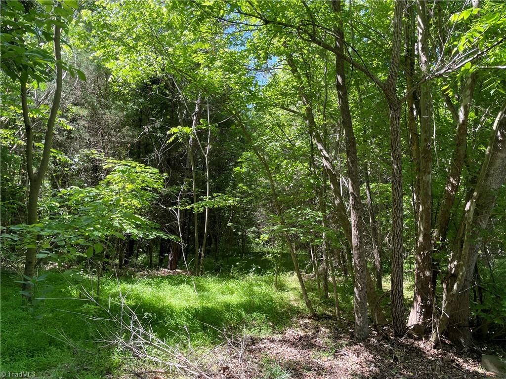 0 Thompson Road Graham, NC 27253 - Photo 8 of 10