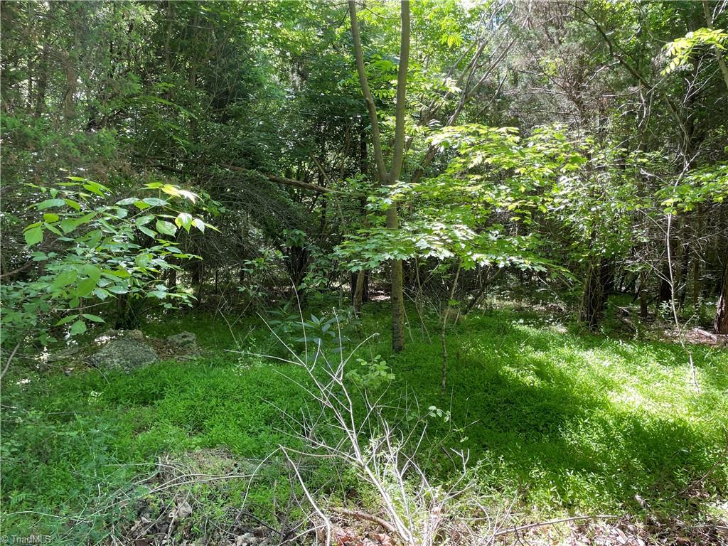 0 Thompson Road Graham, NC 27253 - Photo 9 of 10