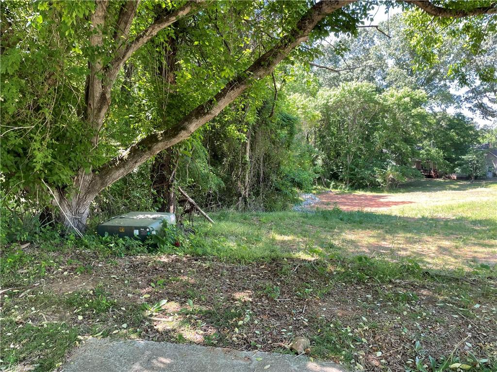 0 Thompson Road Graham, NC 27253 - Photo 10 of 10