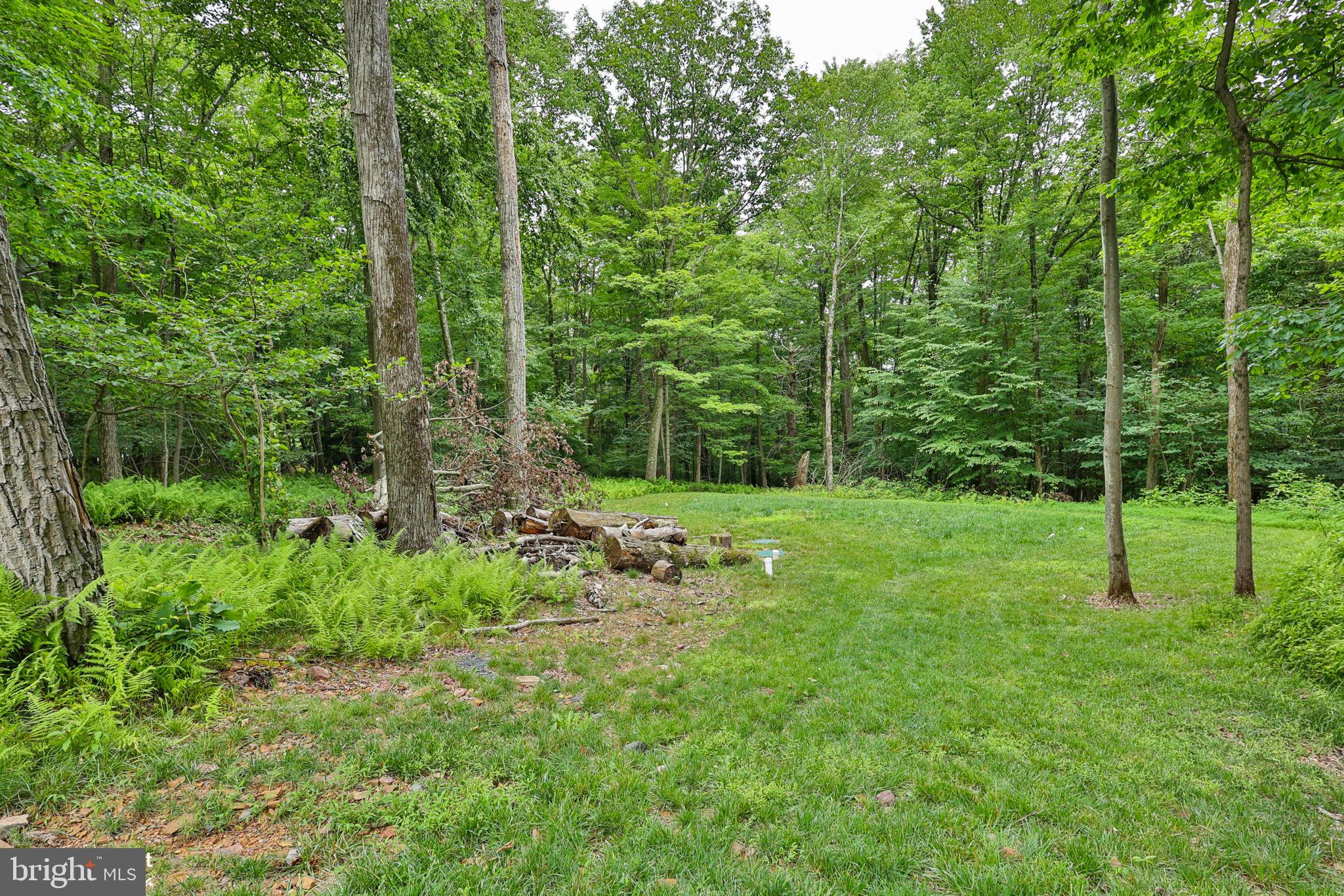 318 Church Road Kunkletown, PA 18058 - Photo 44 of 52