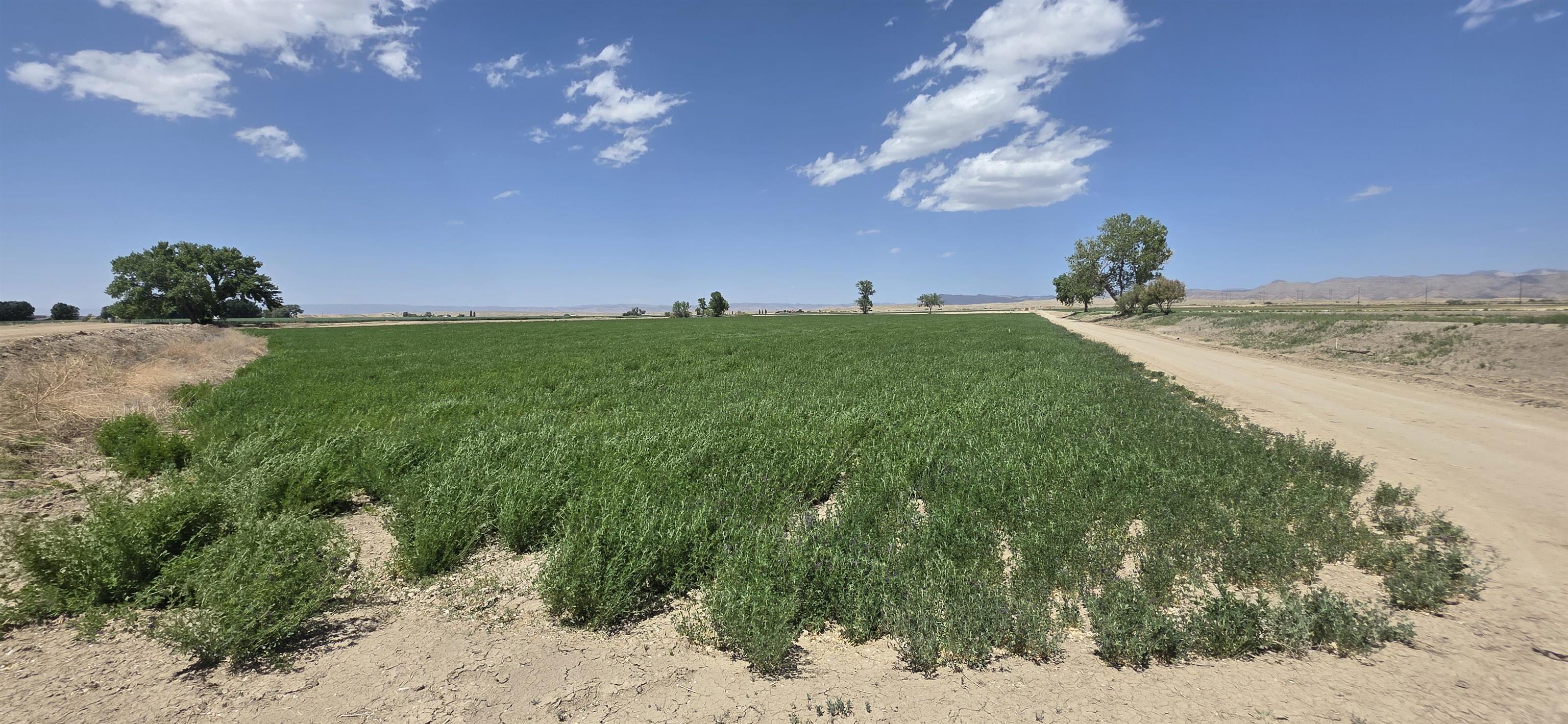 Tbd P Road Loma, CO 81524 - Photo 12 of 20 a view of a lake with a yard