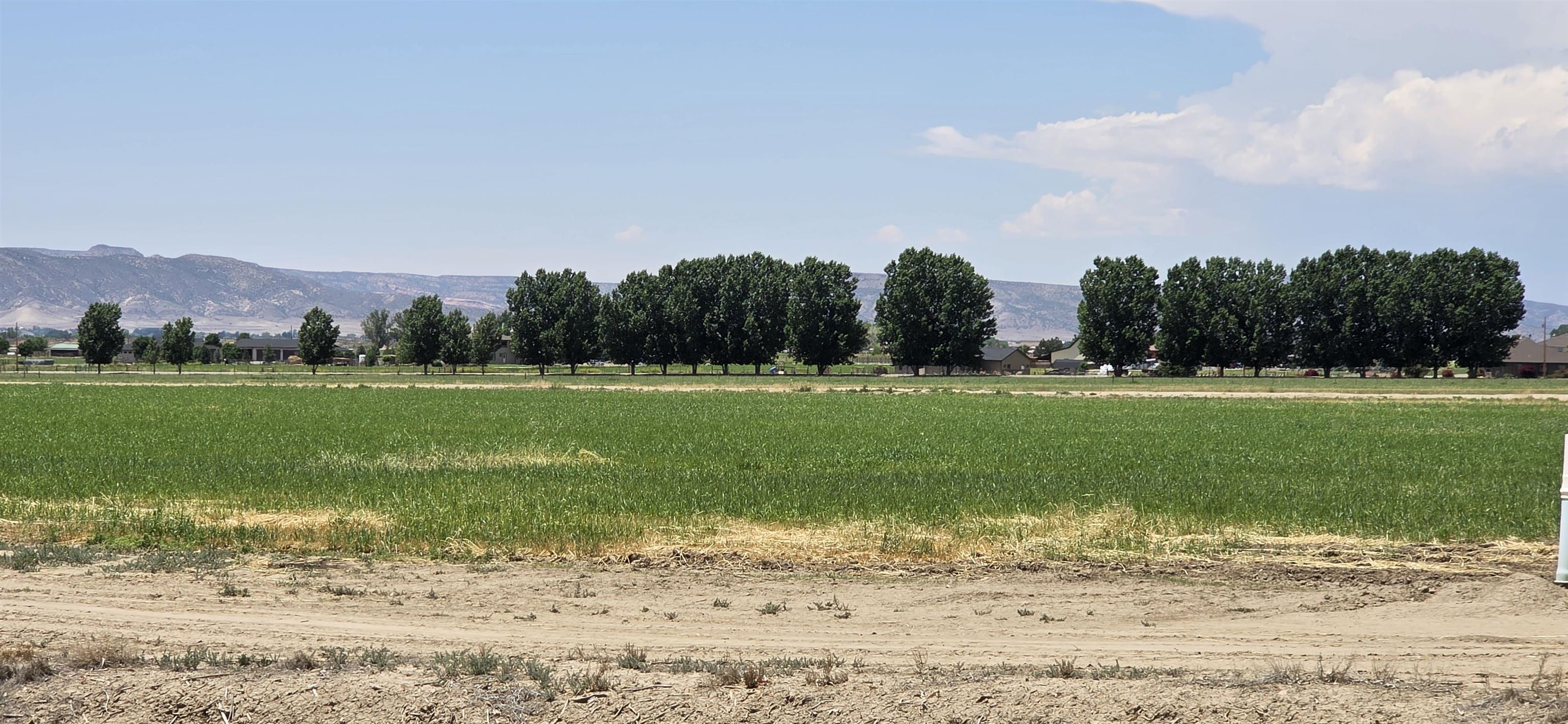 Tbd P Road Loma, CO 81524 - Photo 15 of 20 a view of a lake with a large trees