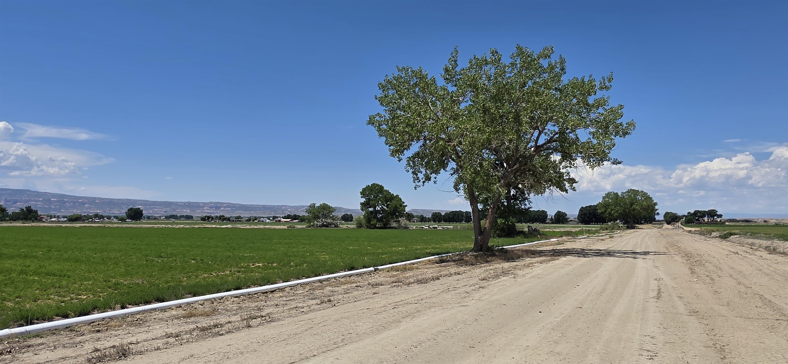 Tbd P Road Loma, CO 81524 - Photo 18 of 20 front view of a house with a yard