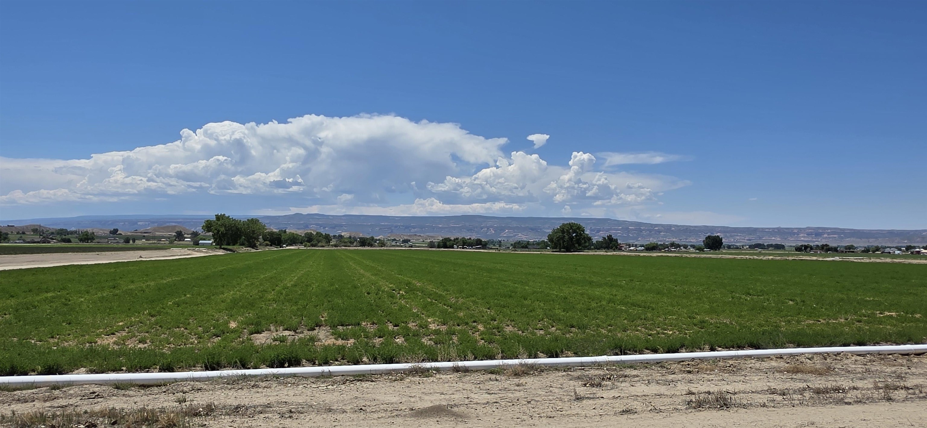 Tbd P Road Loma, CO 81524 - Photo 20 of 20 a view of a green field