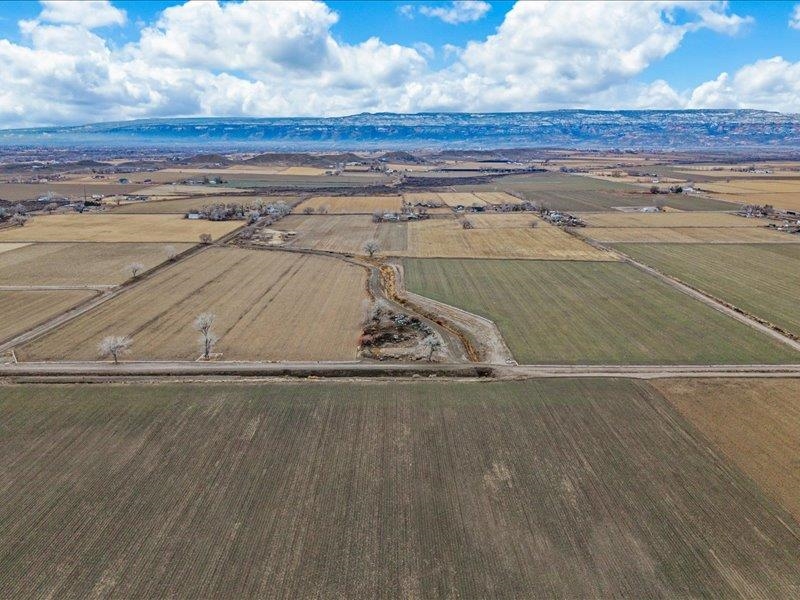 Tbd P Road Loma, CO 81524 - Photo 6 of 20 a view of a room with wooden floor