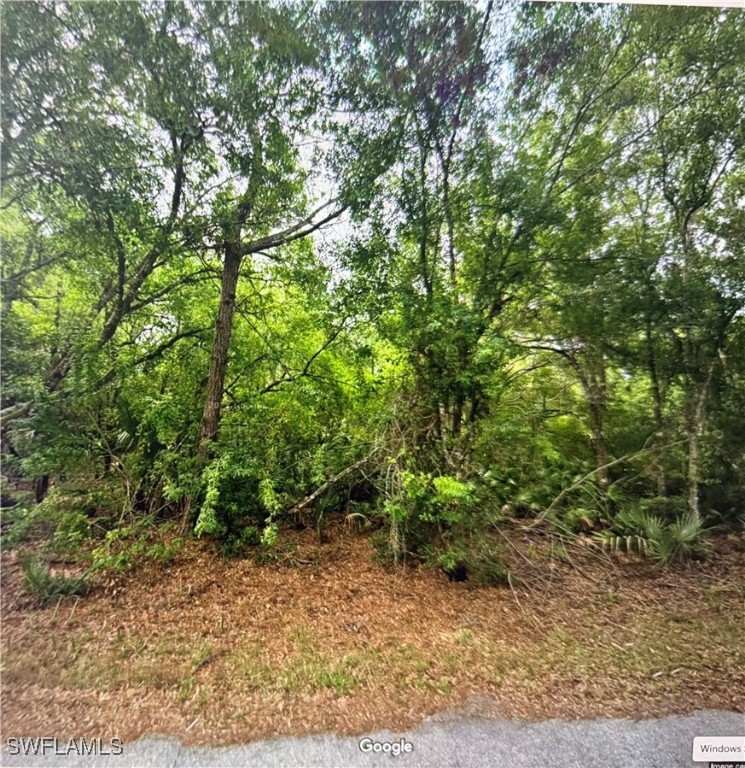 23423 Buckner Avenue Punta Gorda, FL 33980 - Photo 1 of 8 a backyard of a house with lots of green space