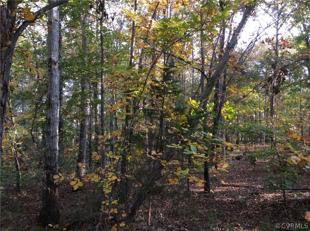 0 Pleasants Road Powhatan, VA 23139 - Photo 2 of 5 Gallery Image 2