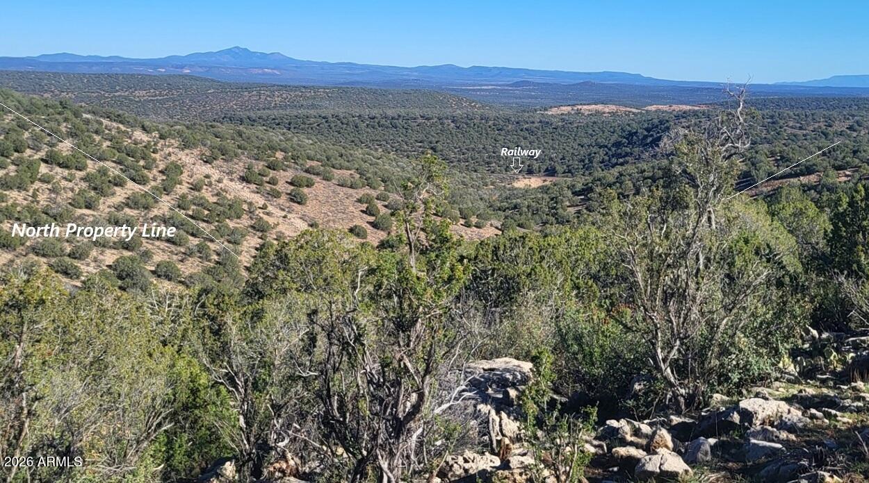 929 Forest Service Road, Unit 929 Williams, AZ 86046 - Photo 2 of 10 3a31c62e-a123-4985-92fb-9b1c9b195897