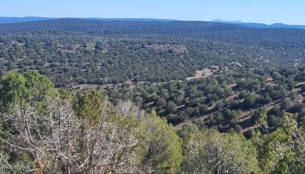 $68,000 | 929 Forest Service Road, Unit 929, Williams, AZ 86046
