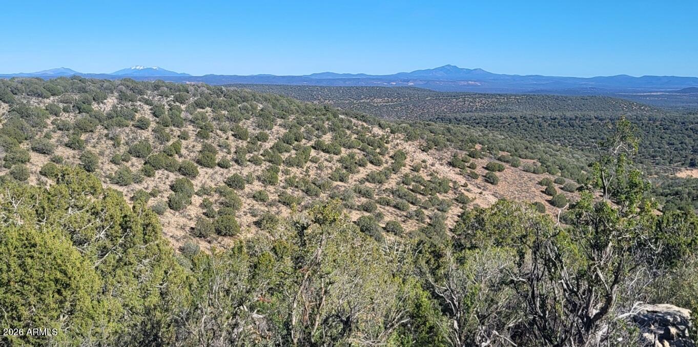 929 Forest Service Road, Unit 929 Williams, AZ 86046 - Photo 5 of 10 8c425cfb-5d3d-4f0a-b832-cb87b206cf9c