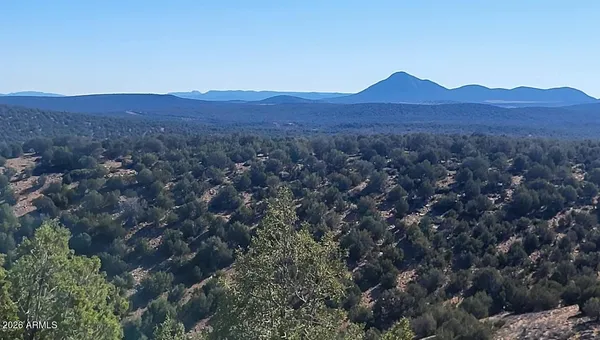 $68,000 | 929 Forest Service Road, Unit 929, Williams, AZ 86046