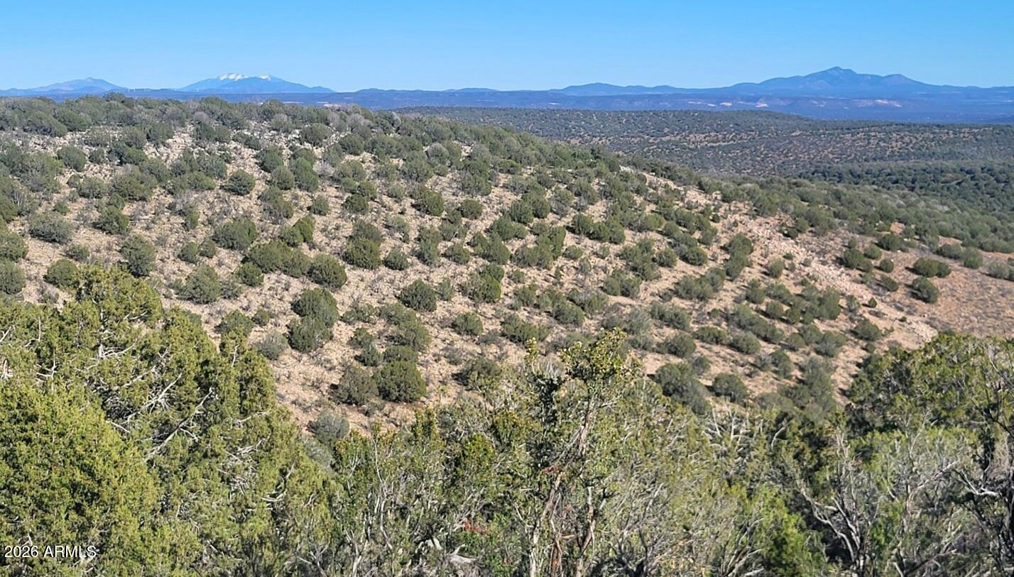 929 Forest Service Road, Unit 929 Williams, AZ 86046 - Photo 7 of 10 397496d0-0ee9-416d-8aa6-45d4e4f67e45