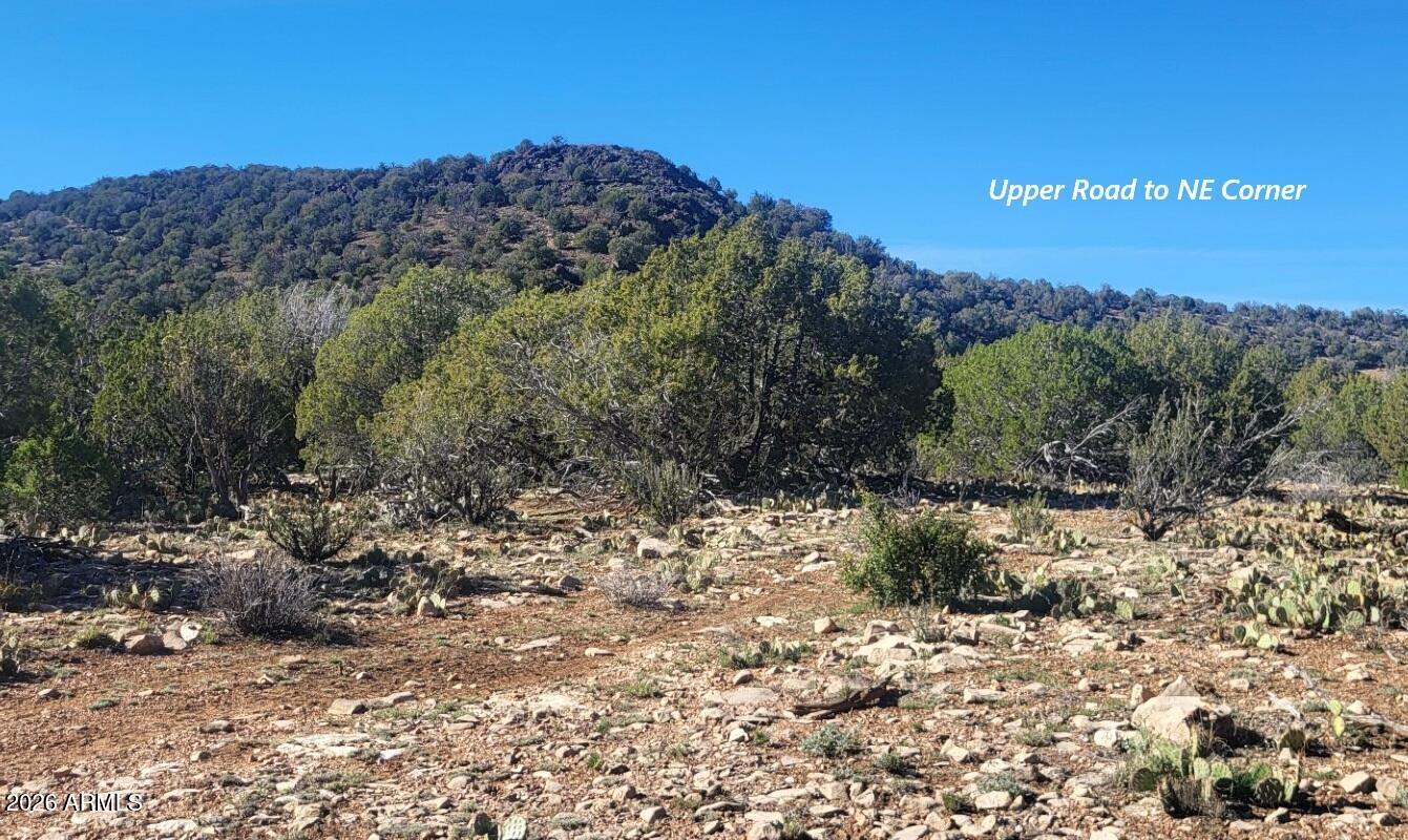 929 Forest Service Road, Unit 929 Williams, AZ 86046 - Photo 10 of 10 43a61cc1-431a-422f-adb0-521e72ed1214