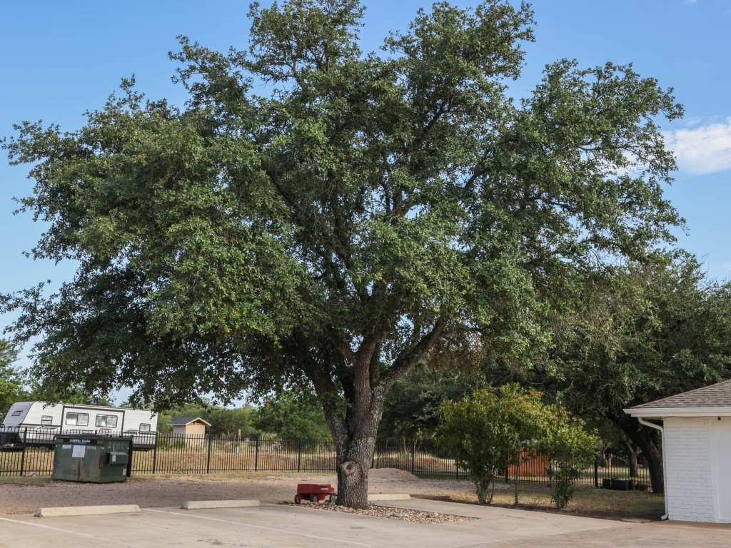 100 Hy Road Buda, TX 78610 - Photo 13 of 31