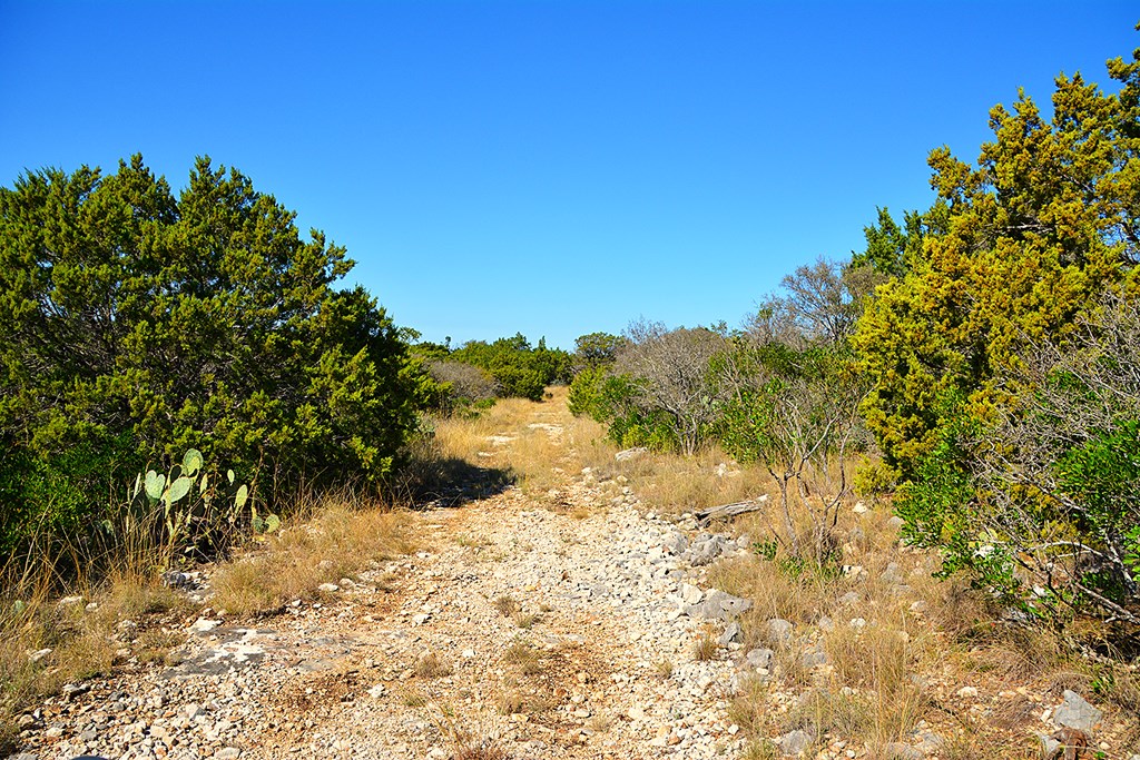 Tbd Tbd Other Leakey, TX 78873 - Photo 37 of 59
