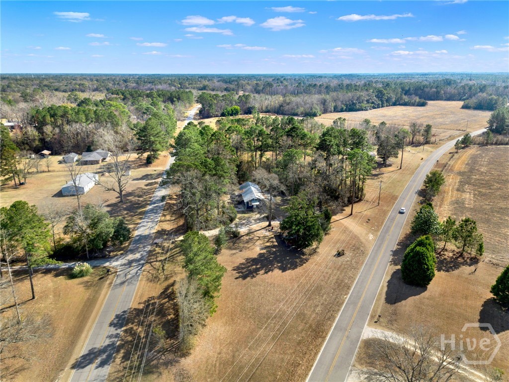 628 Toni Branch Road Ellabell, GA 31308 - Photo 41 of 46