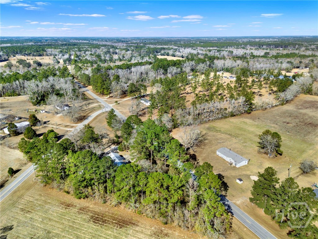 628 Toni Branch Road Ellabell, GA 31308 - Photo 42 of 46