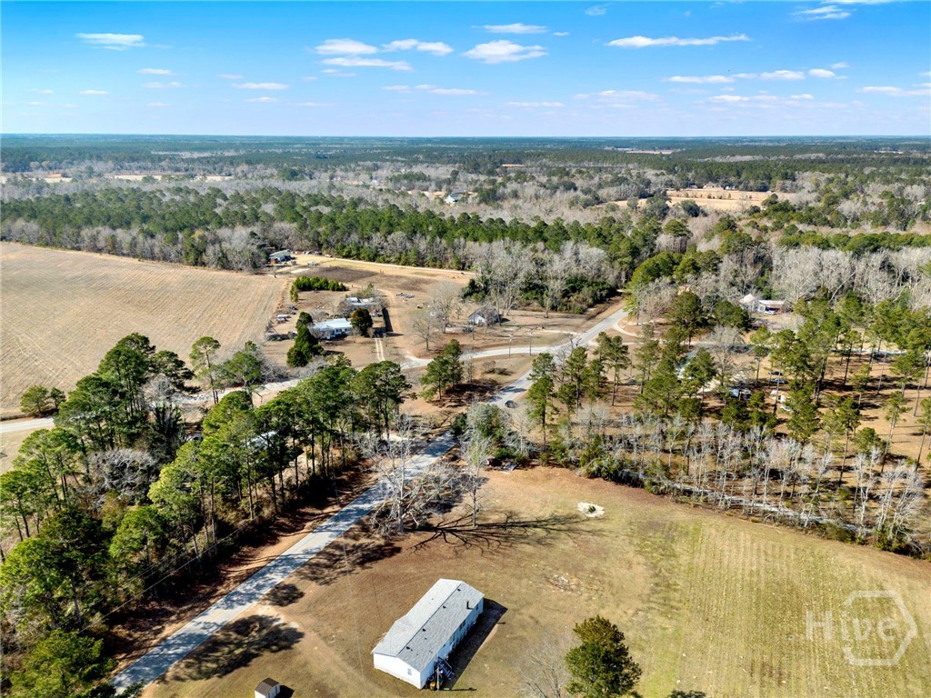 628 Toni Branch Road Ellabell, GA 31308 - Photo 43 of 46