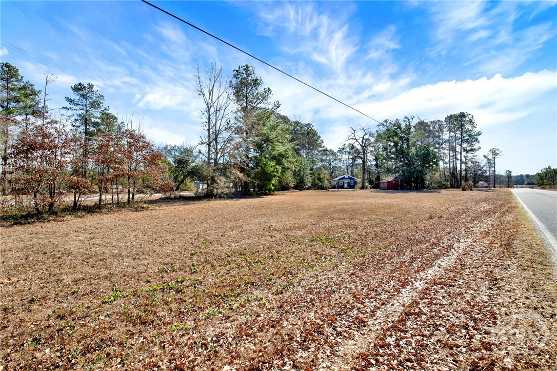 628 Toni Branch Road Ellabell, GA 31308 - Photo 46 of 46