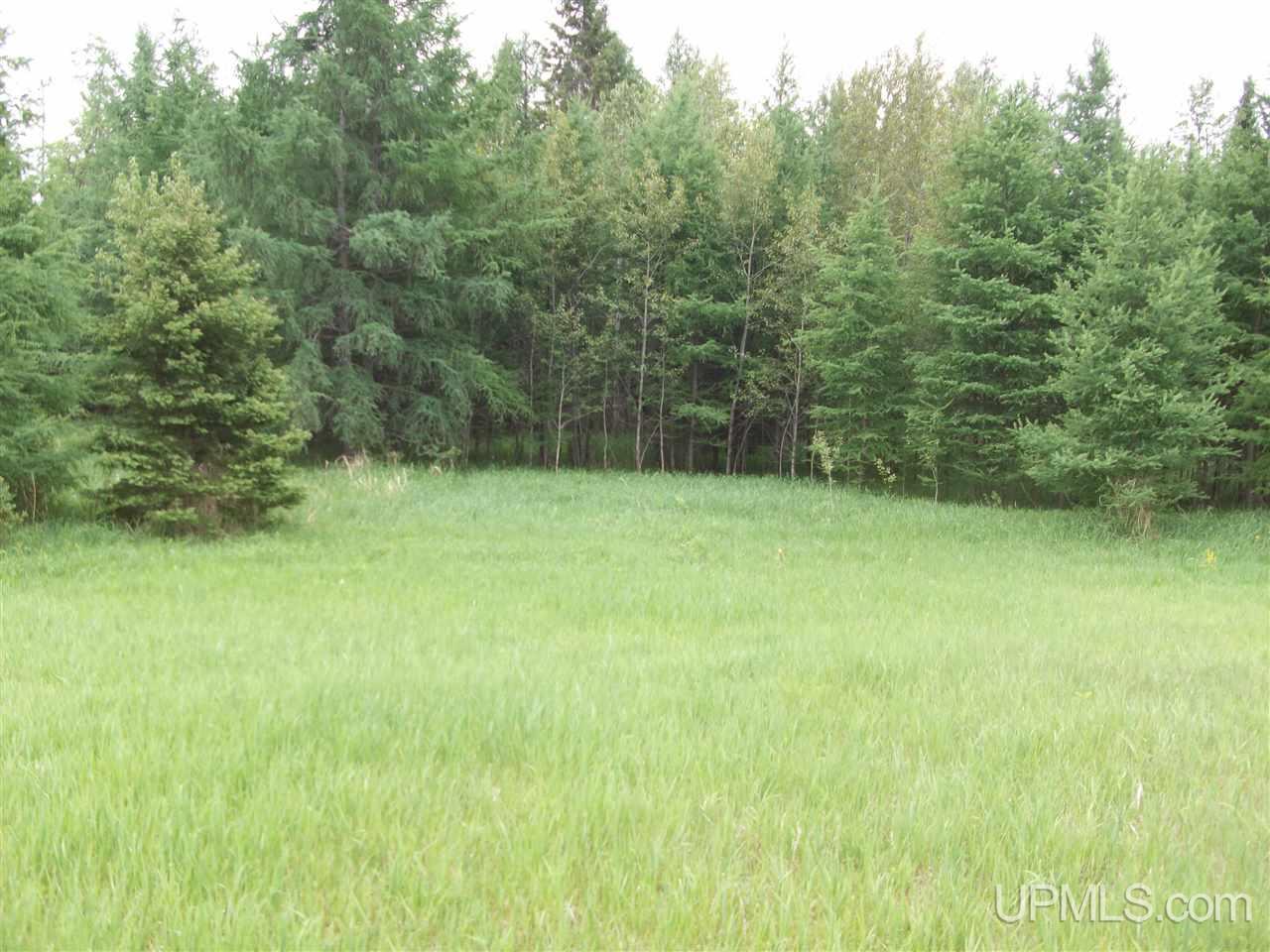 14525 Di Road Rock, MI 49880 - Photo 15 of 16
