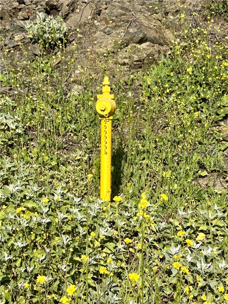 0 Montana Street Menifee, CA 92587 - Photo 2 of 7 a view of a plants with small trees