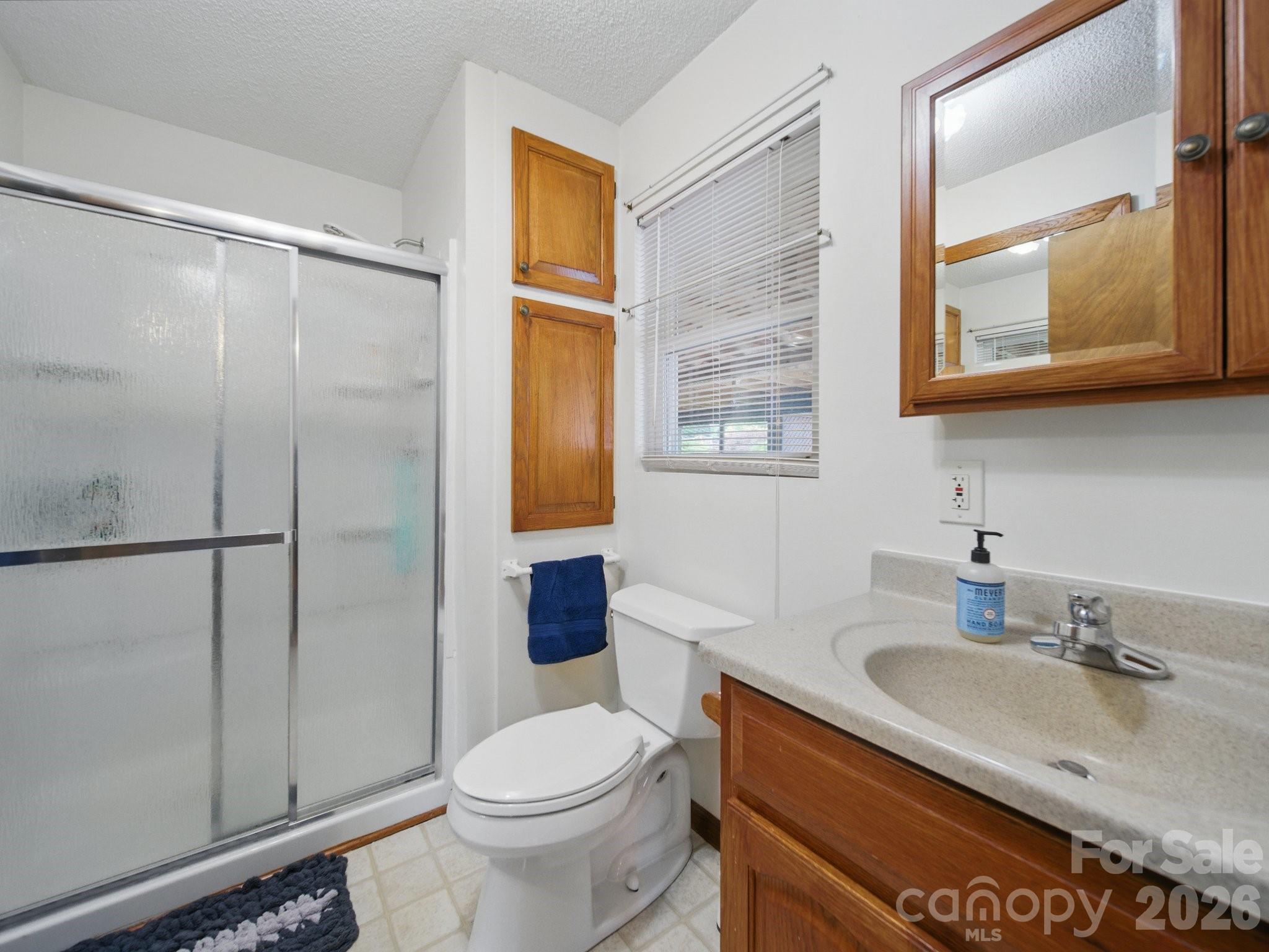 117 Pilots Ridge Drive Bessemer City, NC 28016 - Photo 9 of 20