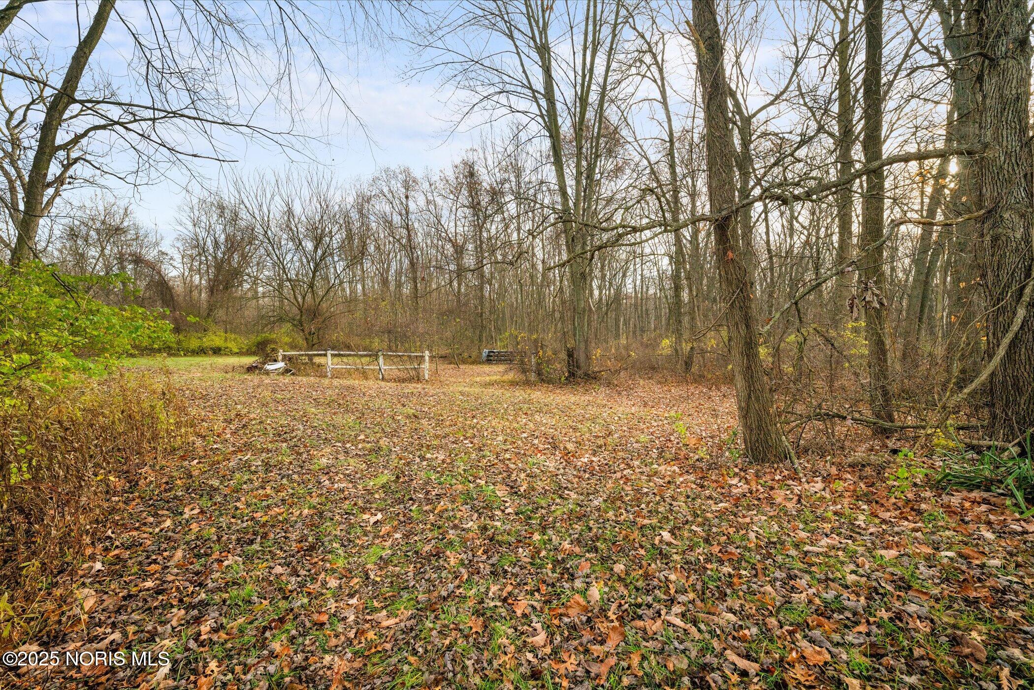 1809 South Berkey Southern Road Swanton, OH 43558 - Photo 4 of 20 5 acres of room to roam!