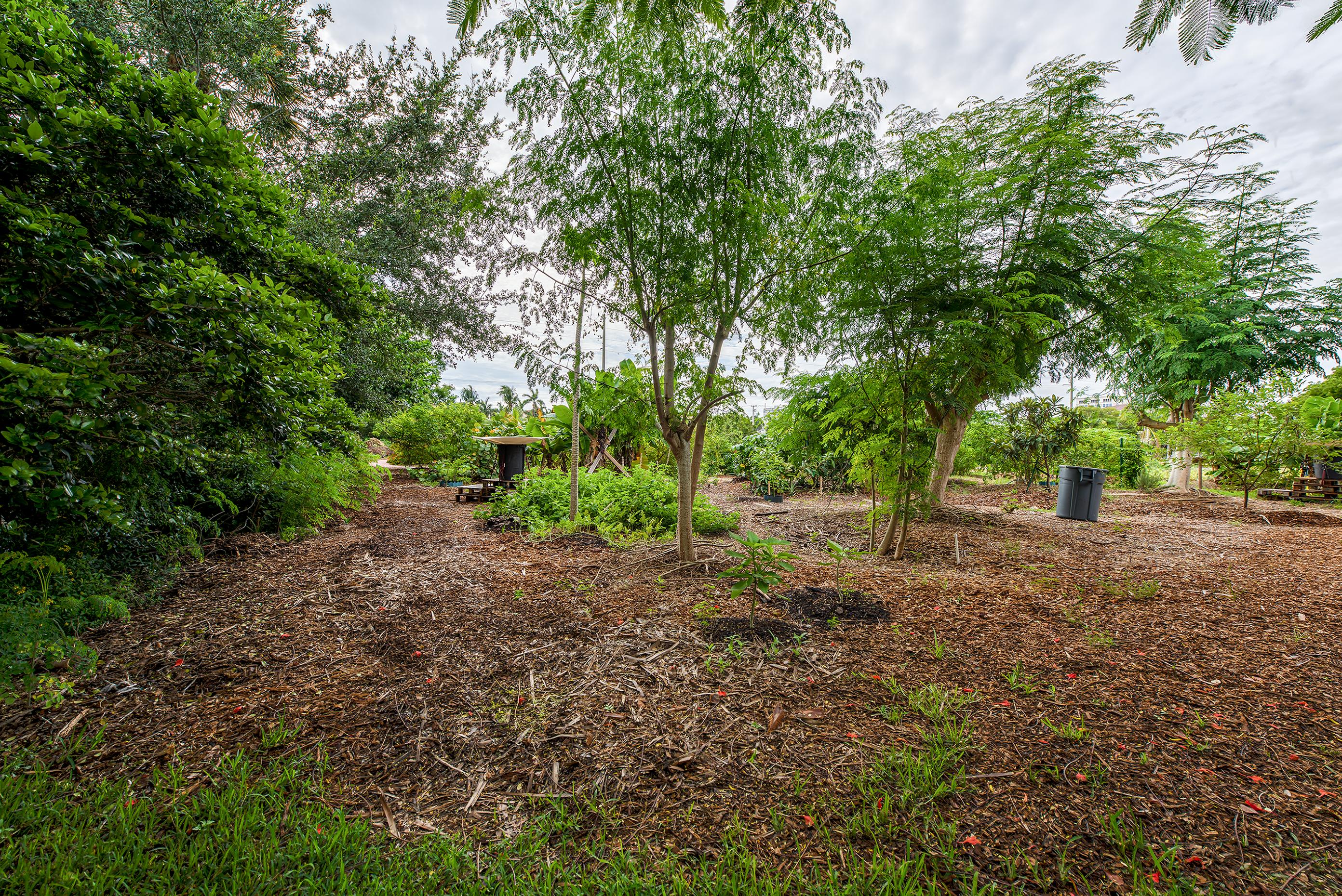 568 Northwest Browning Way Boca Raton, FL 33432 - Photo 47 of 51 Organic Garden Project