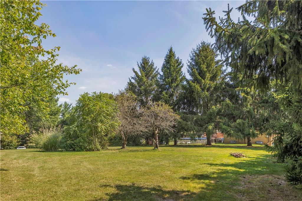 2753 Rochester Road Cranberry Township, PA 16066 - Photo 34 of 38 a view of a big yard with plants and large trees