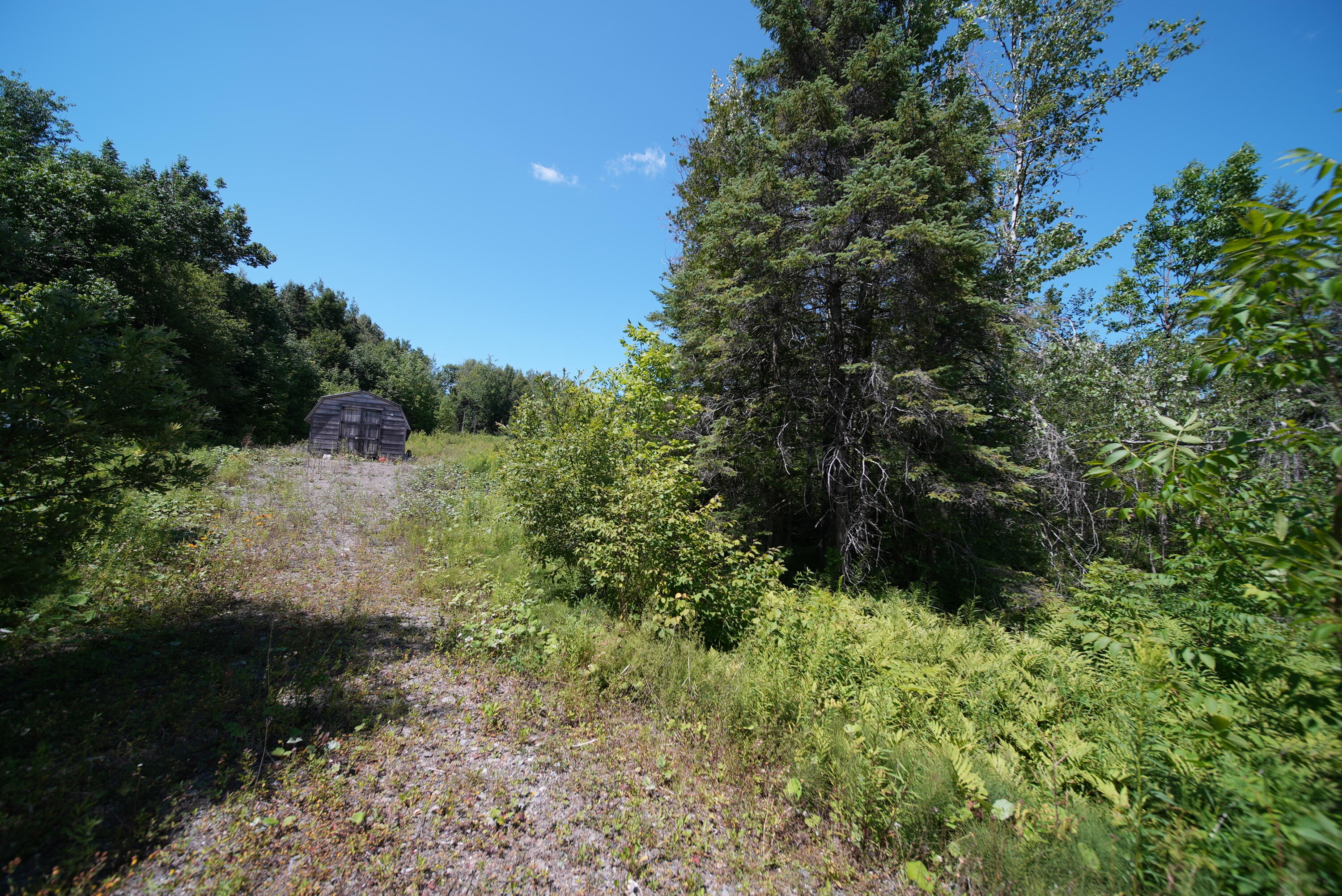 1694 U.S. Rte 1 Orient, ME 04471 - Photo 31 of 58 DSC07424