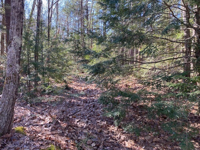 0 Healdville Road Hubbardston, MA 01452 - Photo 1 of 6 Gallery Image 1