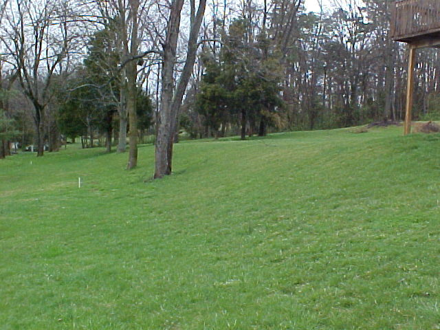 3803 Laurel Ridge Road Northwest Roanoke, VA 24017 - Photo 4 of 20 Yard