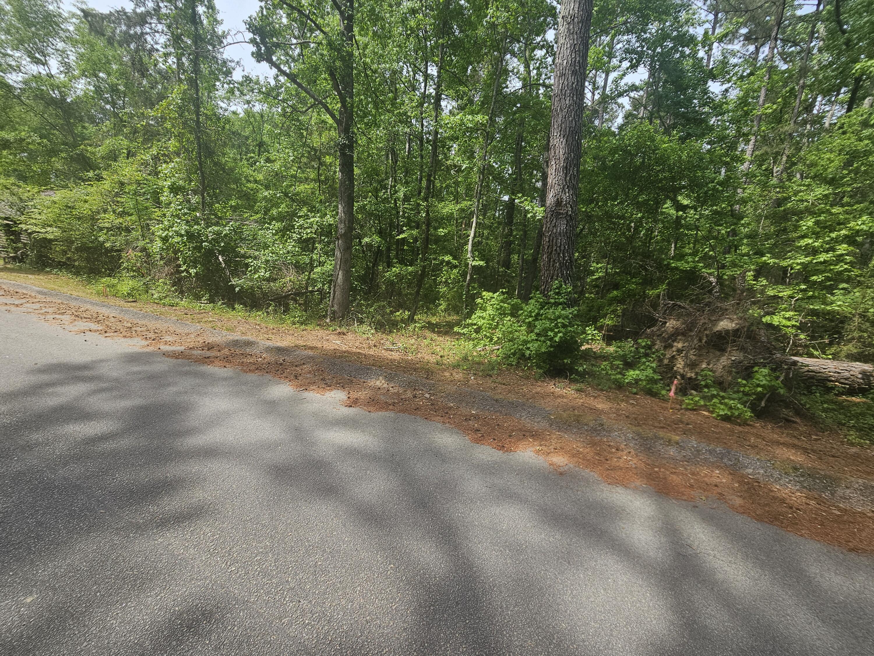 1262 Miles Road Harlem, GA 30814 - Photo 4 of 7 1000054667
