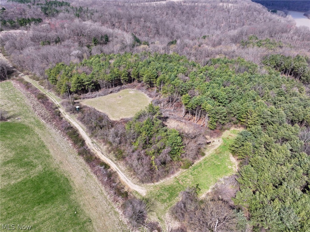 Coshocton Road New Concord, OH 43762 - Photo 7 of 21 View of bird's eye view