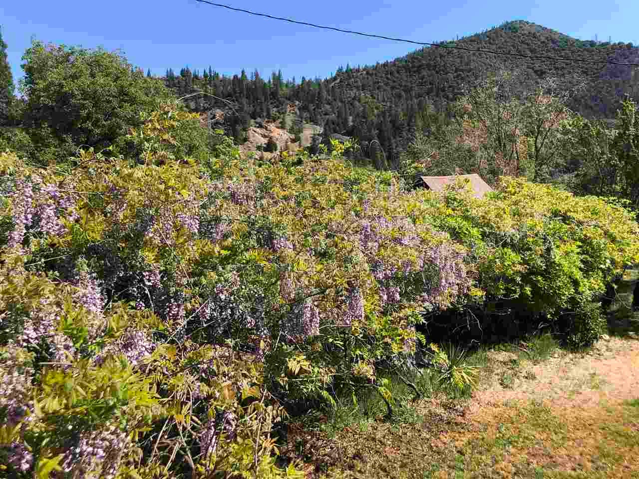 27136 Scott River Road Scott Bar, CA 96085 - Photo 26 of 27 Gallery Image 26