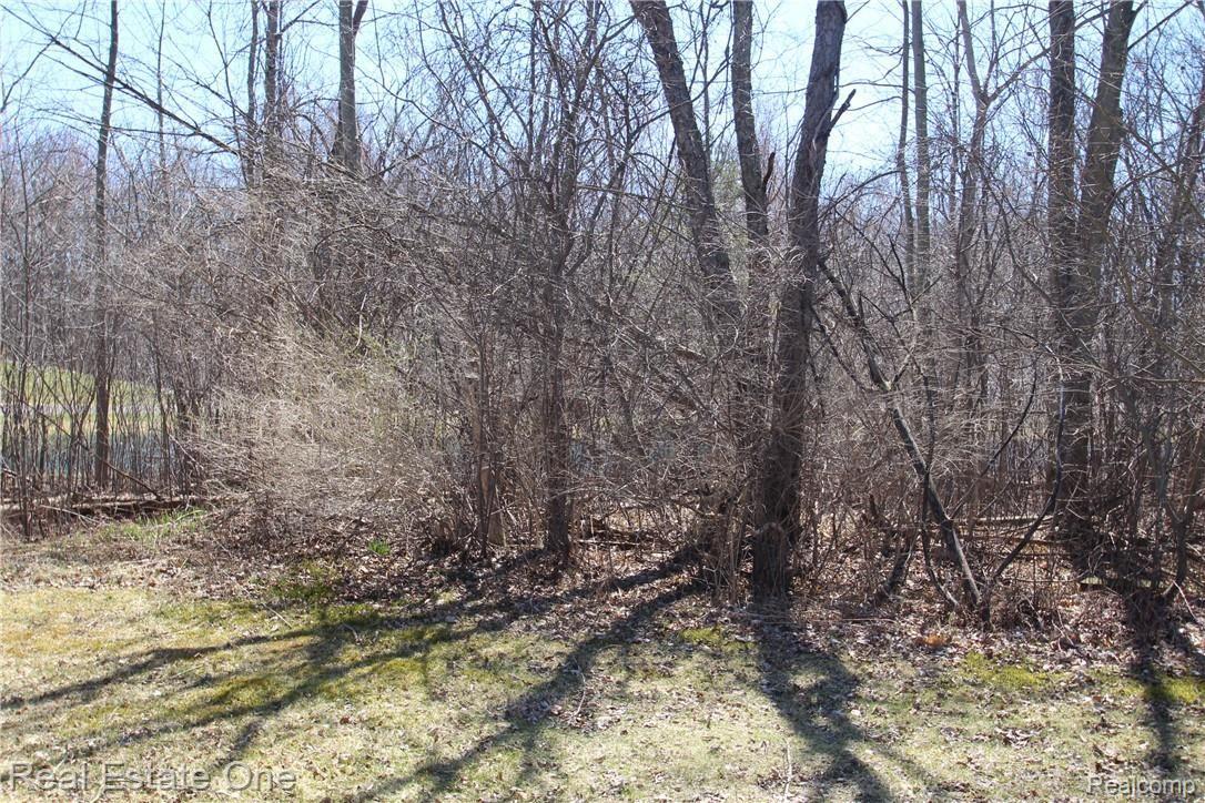 3069 Buckner Road Lake Orion, MI 48362 - Photo 34 of 41 IMG_3009.JPG