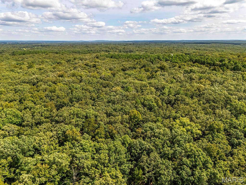 0 Fire Tower Road Steelville, MO 65565 - Photo 14 of 28 Gallery Image 14
