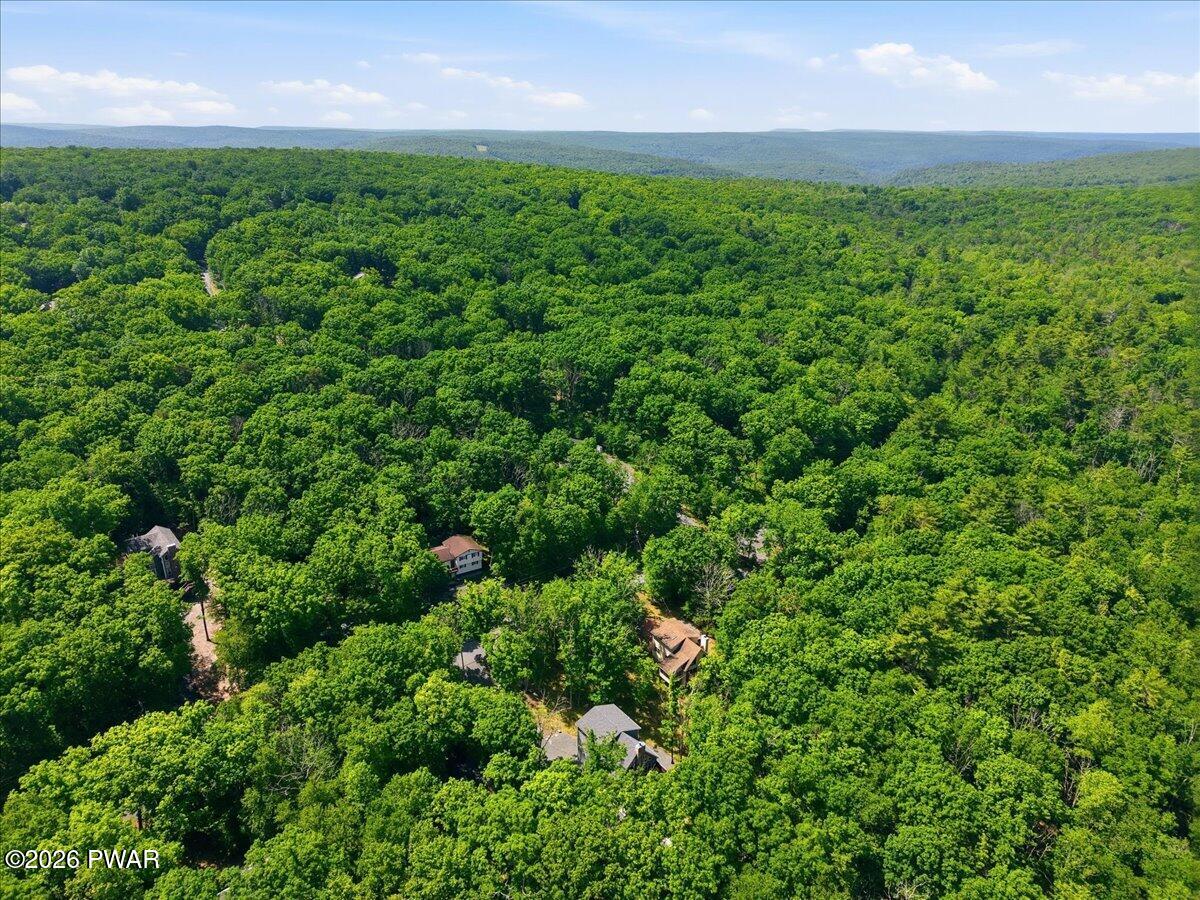 193 Eagle Rock Road Lackawaxen, PA 18435 - Photo 77 of 124