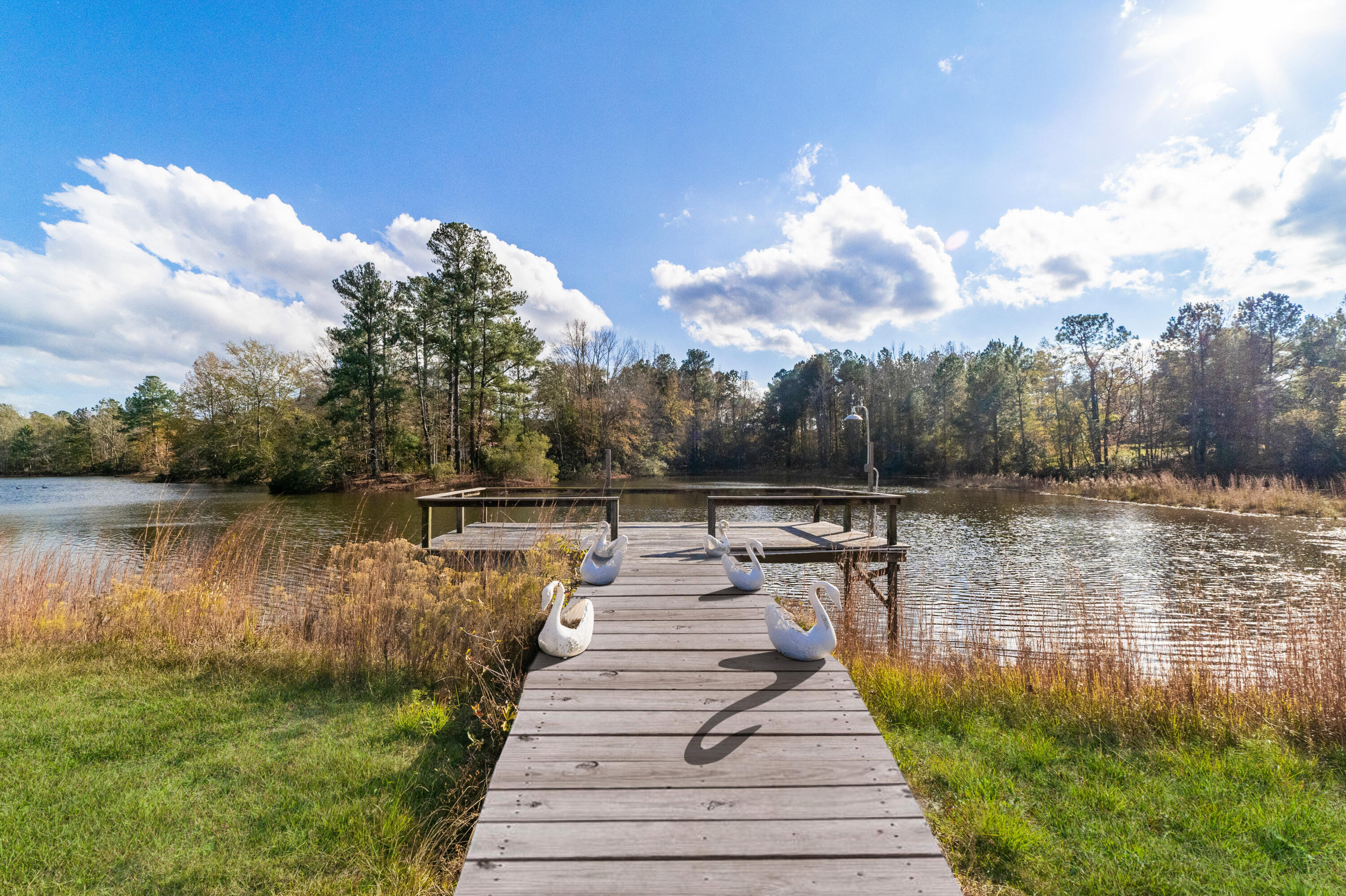 232 Twin Lakes Road Neeses, SC 29107 - Photo 28 of 33 Dock