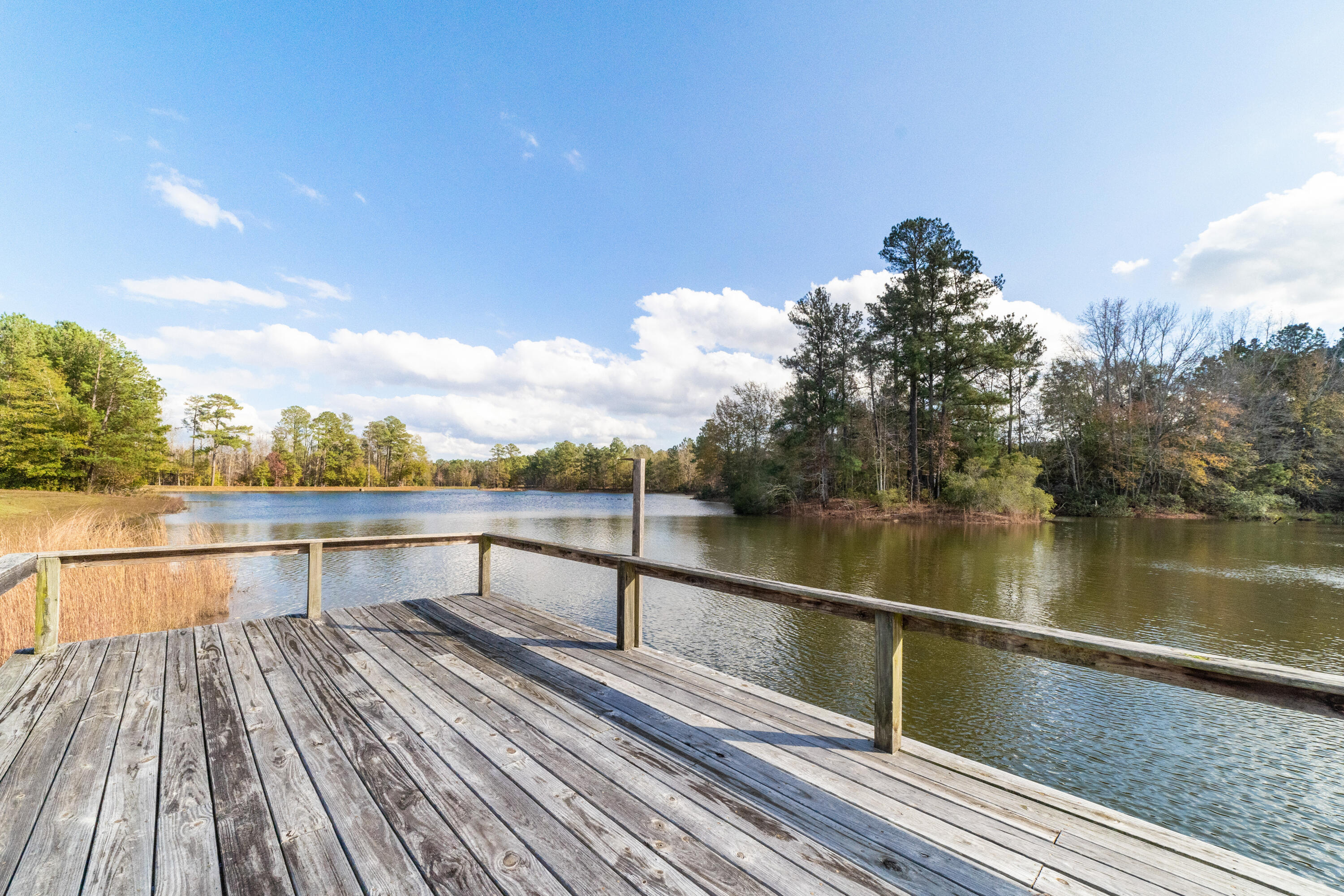 232 Twin Lakes Road Neeses, SC 29107 - Photo 30 of 33 Dock
