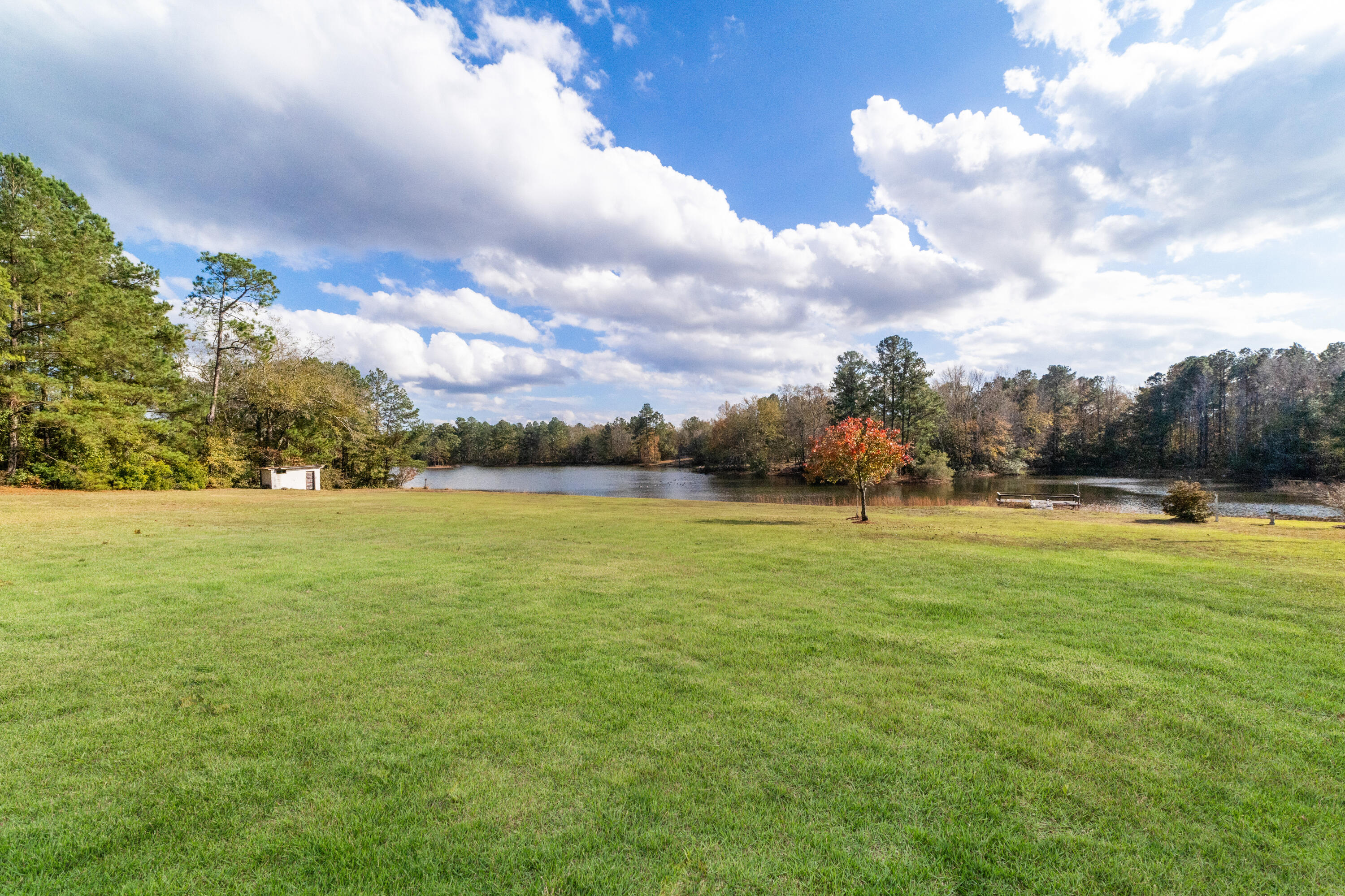 232 Twin Lakes Road Neeses, SC 29107 - Photo 3 of 33 Twin Lake view
