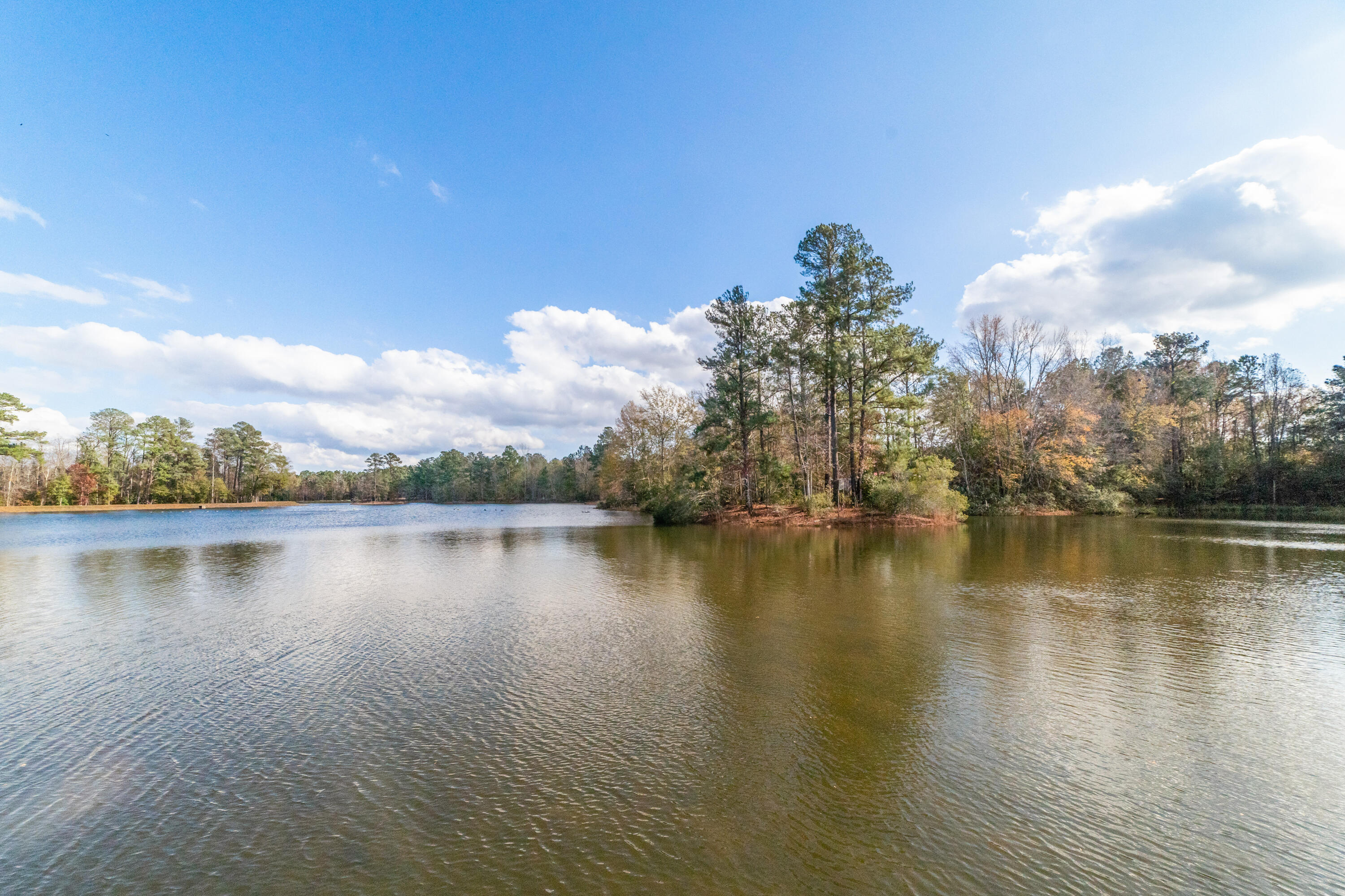 232 Twin Lakes Road Neeses, SC 29107 - Photo 33 of 33 Twin Lake