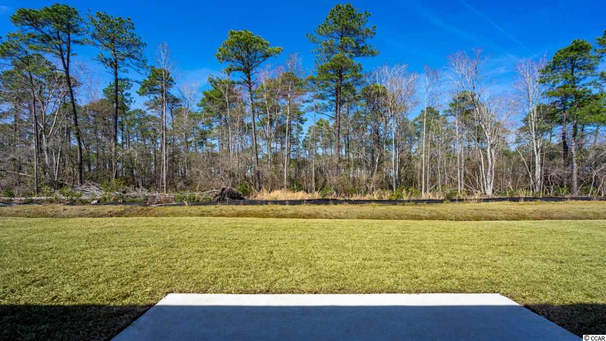228 Legends Village Loop Myrtle Beach, SC 29579 - Photo 22 of 40 Gallery Image 22