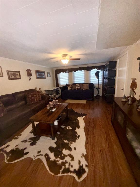 309 Broken Arrow Comanche, TX 76442 - Photo 19 of 33 Living area featuring wood finished floors and ceiling fan