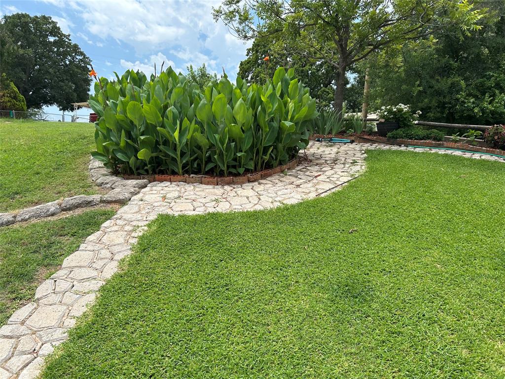 309 Broken Arrow Comanche, TX 76442 - Photo 30 of 33 View of green lawn