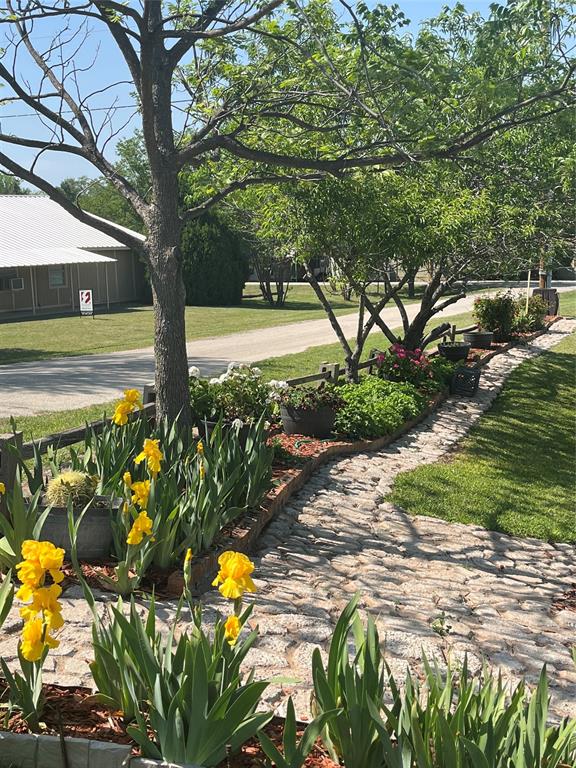 309 Broken Arrow Comanche, TX 76442 - Photo 31 of 33 View of green lawn