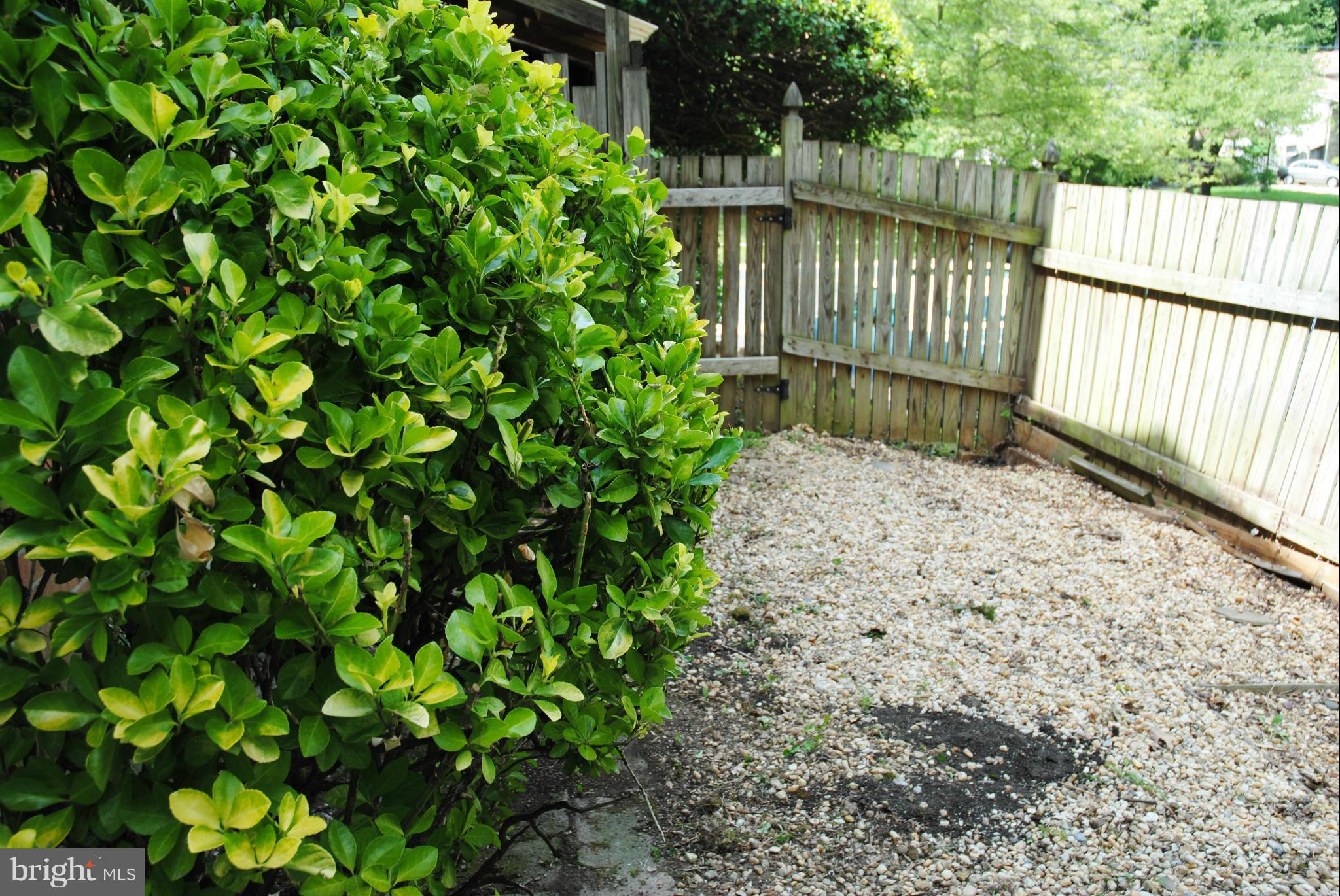 13011 Tamarack Road Silver Spring, MD 20904 - Photo 22 of 30 Fenced Side Yard